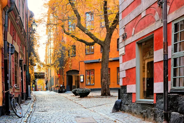 Colorido Rincón Frondoso Gamla Stan Casco Antiguo Estocolmo Suecia Durante —  Fotos de Stock