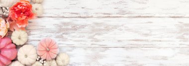 Beyaz ve yumuşak pembe balkabaklarından oluşan sonbahar köşesi kenarı ve beyaz ahşap bir arka plan üzerine düşen dekor. Kopyalama alanı olan üst görünüm.