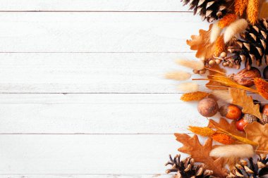 Renkli sonbahar yaprakları, kozalaklar, fındıklar ve otlar. Beyaz ahşap bir arka planda yan kenar. Kopyalama alanı olan üst görünüm.