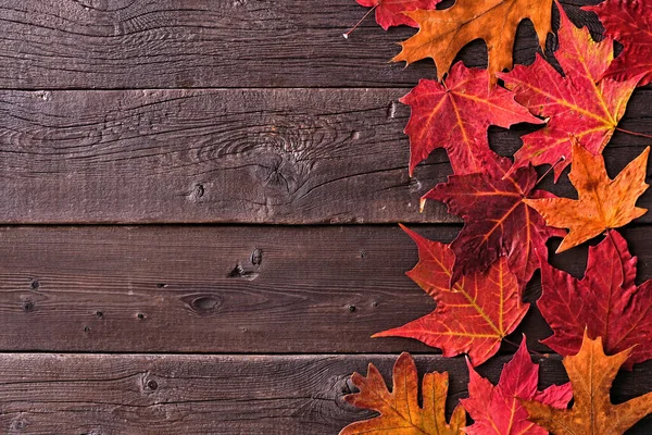 Kleurrijke Herfstbladeren Zijrand Een Donkere Houten Achtergrond Bovenaanzicht Met Kopieerruimte — Stockfoto