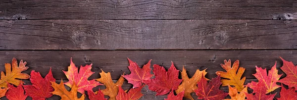 Kleurrijke Herfstbladeren Onderrand Een Donkere Houten Banner Achtergrond Bovenaanzicht Met — Stockfoto