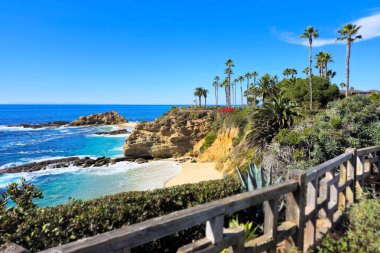 Laguna Sahili Okyanus Kıyısı Palmiye ağaçları ile Kaliforniya, ABD