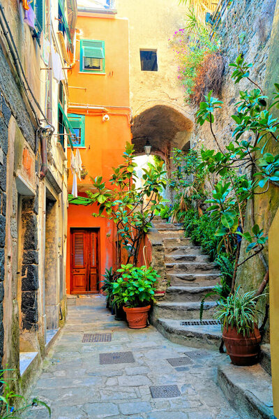 Colorful plant lined old street in the Cinque Terre village of Vernazza, Italy