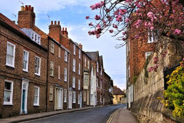 İngiltere 'nin eski York şehrinde bir sokak boyunca pembe bahar çiçekleri olan eski tuğla binalar.