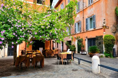 Roma 'daki güzel antik plaza yapraklı sarmaşıklar, çiçekler ve restoran masaları, İtalya