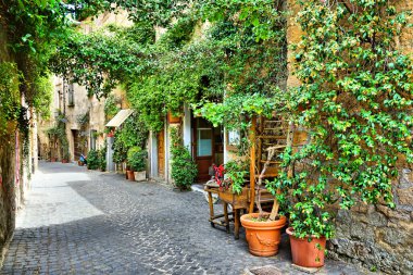 Ortaçağ 'ın eski Orvieto, Umbria, İtalya' sında güzel yapraklı bir cadde