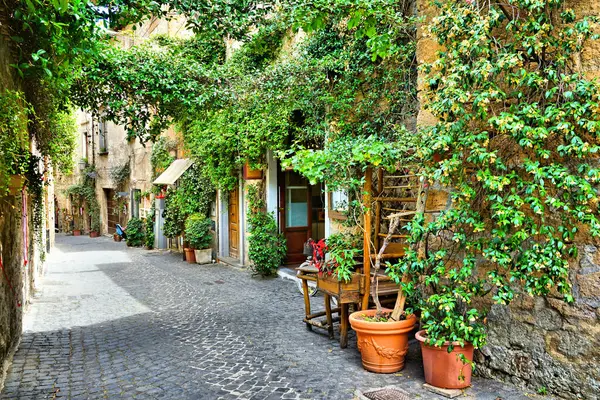 stock image Beautiful leafy street in the medieval old town of Orvieto, Umbria, Italy