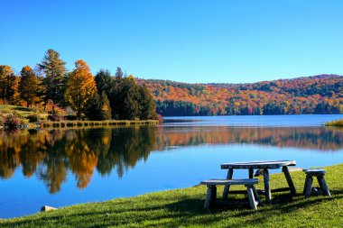Vermont, ABD kırsalında yansıması olan bir göl boyunca güzel sonbahar renkleri