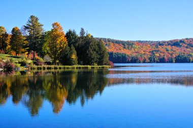 Vermont, ABD kırsalında yansıması olan bir göl boyunca güzel sonbahar renkleri