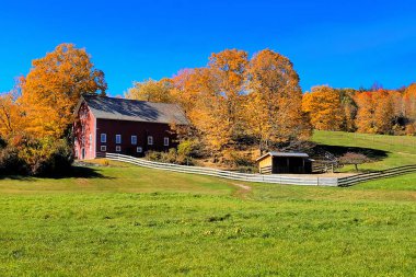 Woodstock, Vermont, ABD yakınlarındaki kırsal alanda kırsal kırmızı ahşap ve renkli sonbahar yaprakları