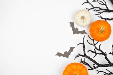 Cadılar Bayramı 'nda, ürkütücü yarasalar, siyah dallar ve balkabaklarından oluşan bir sınır. Kopyalama alanı olan beyaz bir arkaplan üzerinde genel görünüm.