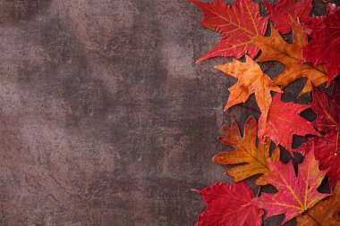 Renkli sonbahar yaprakları koyu taştan bir zemin üzerinde yan sınır oluşturuyor. Kopyalama alanı ile üstten aşağı görünüm.