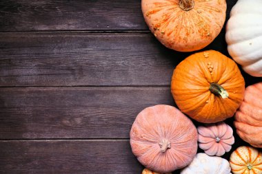 Farklı boylarda ve renklerde balkabaklarının kenarlarında kırsal bir ahşap arka plan var. Kopyalama alanı ile üstten aşağı görünüm.