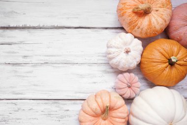 Pastel balkabaklarının sonbahar kenarı çeşitli boyutlarda ve renklerde kırsal beyaz ahşap zemin üzerinde. Kopyalama alanı ile görünümün üstünde.