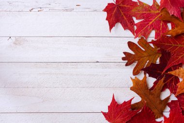 Renkli sonbahar, beyaz bir ahşap zemin üzerinde yan sınır oluşturur. Kopyalama alanı olan üst görünüm.