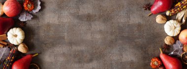 Balkabaklarının, yaprakların ve baharatların sonbahar sınırı. Fotokopi alanı olan koyu taştan bir afişte çift kenar. Üst alt görünüm.