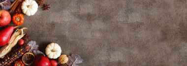 Balkabaklarının, yaprakların ve baharatların sonbahar sınırı. Fotokopi alanı olan koyu taştan bir afişin köşesinde. Aşağıdaki görünümün üstünde.