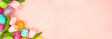 Renkli Paskalya yumurtaları ve pembe bahar lale çiçekleri. Üst sınır pembe taştan bir afişe karşı. Boşluğu kopyala.