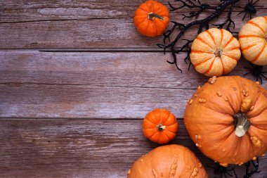 Cadılar Bayramı 'nda ürkütücü örümceklerin, siyah dalların ve balkabaklarının sınırı. Kopya alanı olan bir rustik ahşap arkaplan üzerinde üst görünüm.