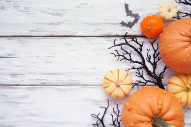 Cadılar Bayramı 'nda, ürkütücü yarasalar, siyah dallar ve balkabaklarından oluşan bir sınır. Kopyalama alanı olan beyaz ahşap bir arkaplan üzerinde görünüm.