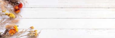 Kurumuş çiçek ve otların sonbahar köşesi. Beyaz ahşap bir arka plan üzerinde üst görünüm. Boşluğu kopyala.
