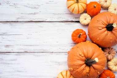 Sonbahar balkabağı kenarı sınırı. Kırsal beyaz ahşap arka planda tepeden bakıldığında. Boşluğu kopyala.