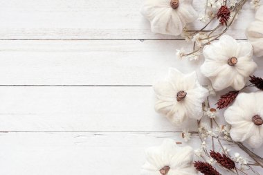 Kurumuş papatya çiçekleri, otlar ve balkabağı dekoru. Beyaz ahşap arka planda yukarıdan aşağıya doğru. Boşluğu kopyala.