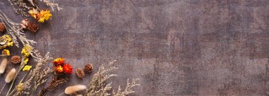 Kurumuş çiçek ve otların sonbahar köşesi. Kırsal bir arka planda üst görünüm. Boşluğu kopyala.