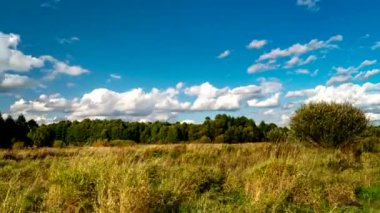 Gökyüzünde hareket eden bulutlar Podlasie ormanları, tarlaları ve çayırları arasında.