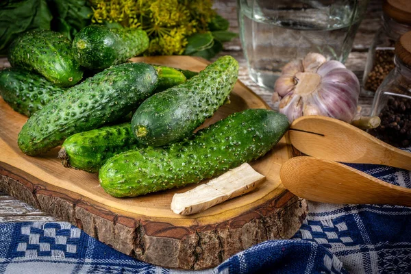Salatalık Turşusu Için Hazırlık Derinlik Odağı — Stok fotoğraf