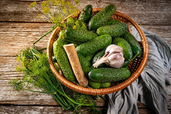 Fresh Cucumbers Your Home Garden Wicker Basket — Stockfoto