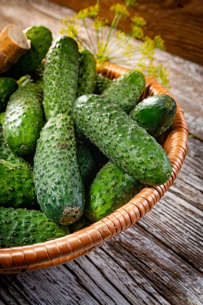 Fresh Cucumbers Your Home Garden Wicker Basket — Stock fotografie