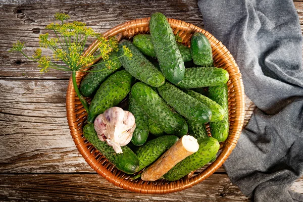 Fresh Cucumbers Your Home Garden Wicker Basket — ストック写真