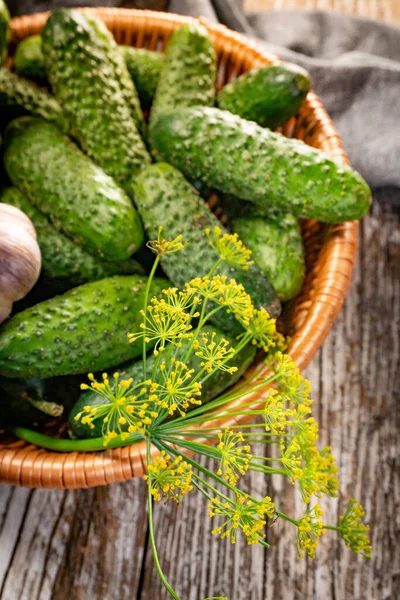 Fresh Cucumbers Your Home Garden Wicker Basket — ストック写真