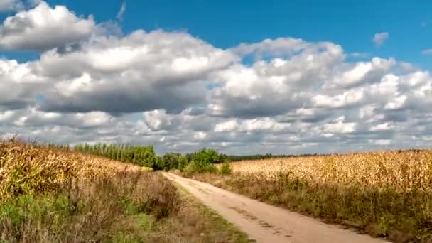 Nubes Moviéndose Través Del Cielo Entre Los Bosques Campos Prados — Vídeo de stock