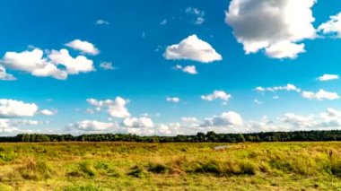 Gökyüzünde hareket eden bulutlar Podlasie ormanları, tarlaları ve çayırları arasında.