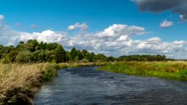 Narew nehrindeki çayırlar.