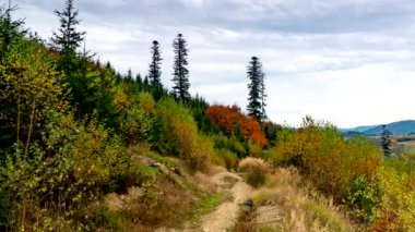 Sonbahar dağlarının güzel renkleri.