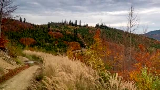 Όμορφα Χρώματα Του Φθινοπώρου Βουνά — Αρχείο Βίντεο