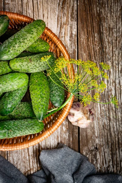 Fresh Cucumbers Your Home Garden Wicker Basket — Stockfoto