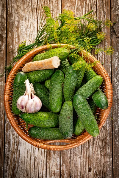 Fresh Cucumbers Your Home Garden Wicker Basket — Stock fotografie