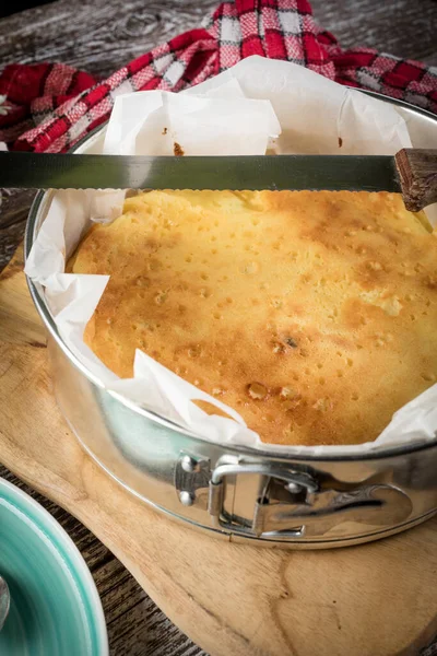 Färsk Hemlagad Cheesecake Bakform — Stockfoto
