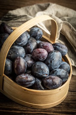 Bahçe Erik sepeti ahşap tablo.