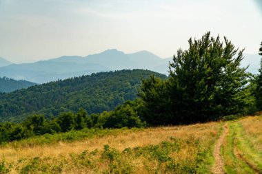 Beskids dağlarında turist gezisi.