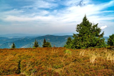 Beskids dağlarında turist gezisi.