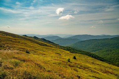 Tarnica, Halicz ve Rozsypaniec bölgesinde Bieszczady Dağları 'nda bir dağ sırası.