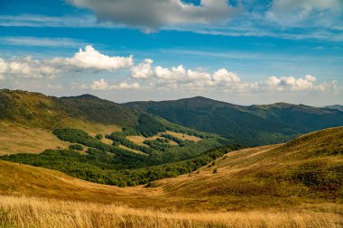 Tarnica, Halicz ve Rozsypaniec bölgesinde Bieszczady Dağları 'nda bir dağ sırası.