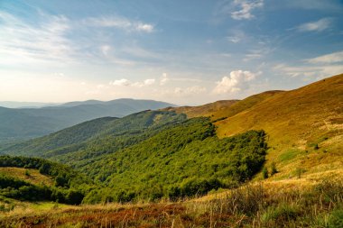 Tarnica, Halicz ve Rozsypaniec bölgesinde Bieszczady Dağları 'nda bir dağ sırası.