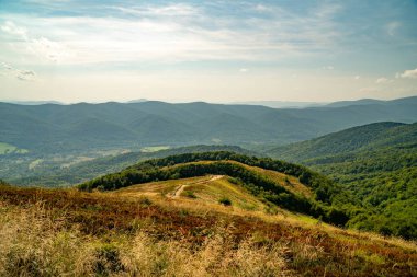 Tarnica, Halicz ve Rozsypaniec bölgesinde Bieszczady Dağları 'nda bir dağ sırası.