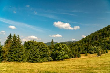 Beskids dağlarında turist gezisi.